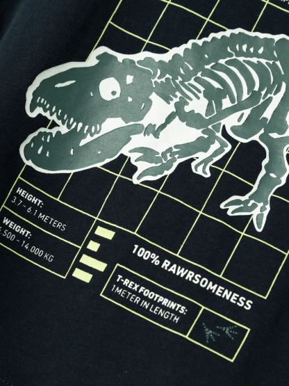 T-Shirt Dinosaurier T-Rex Jungen name it