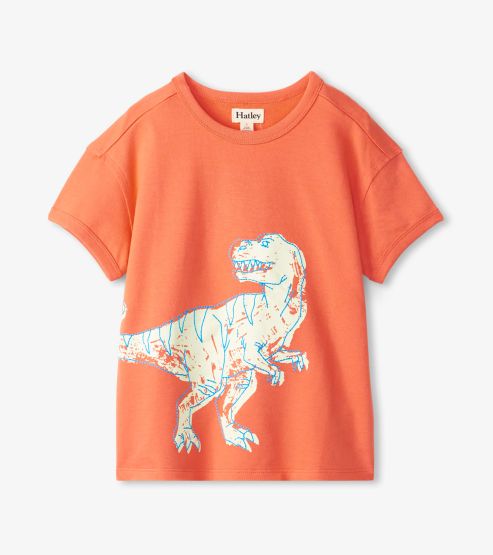 T-Shirt Dinosaurier Jungen Hatley