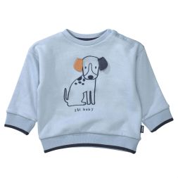 Sweatshirt Hundemotiv Jungen Staccato