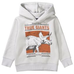 Kapuzensweat Dino True Giants Jungen Attention